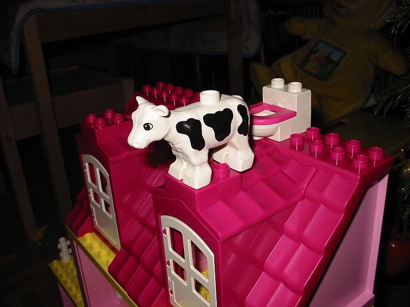 Une vache et des toilettes sur le toit