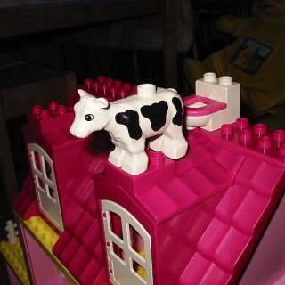 Une vache sur la maison — 7 juin 2007