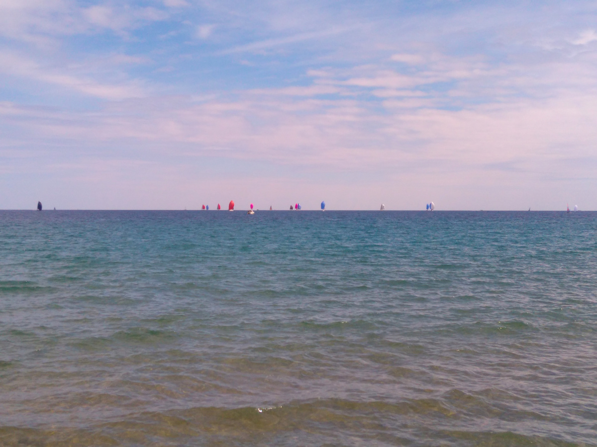 Un horizon marin avec une régate d'une vingtaine de voiles colorées